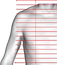 [click to zoom]
