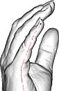[click to zoom]