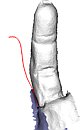 [click to zoom]