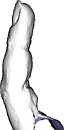 [click to zoom]