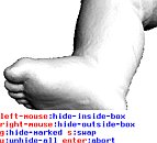 [click to zoom]