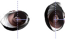 [click to zoom]