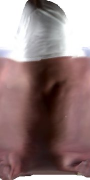 [go back]