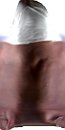 [click to zoom]