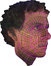 [click to zoom]
