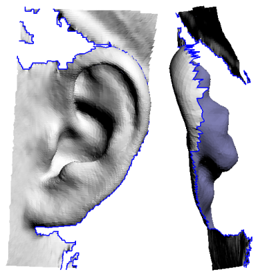Image:PlyEdit-ear1.png