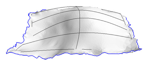 Image:CySlice-3ddisp3.jpg