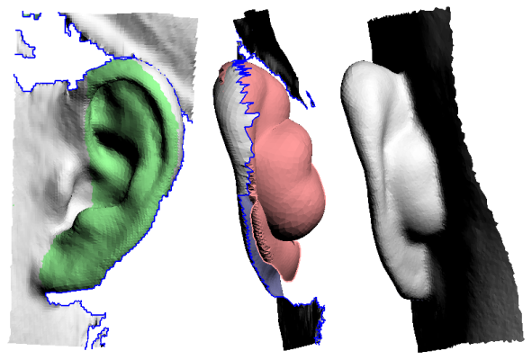 Image:PlyEdit-ear2.png