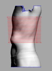 Fig 5. Z-Axis Sections