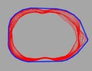 Fig 5. Convex Hull