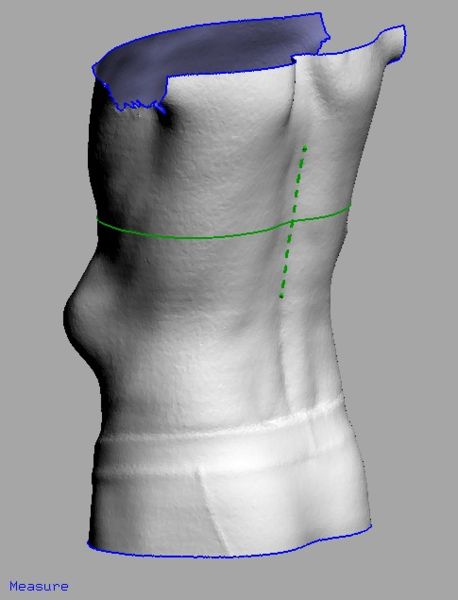 Image:UniSA-bound1.jpg