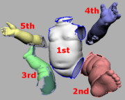 Fig 2. Mesh Colors
